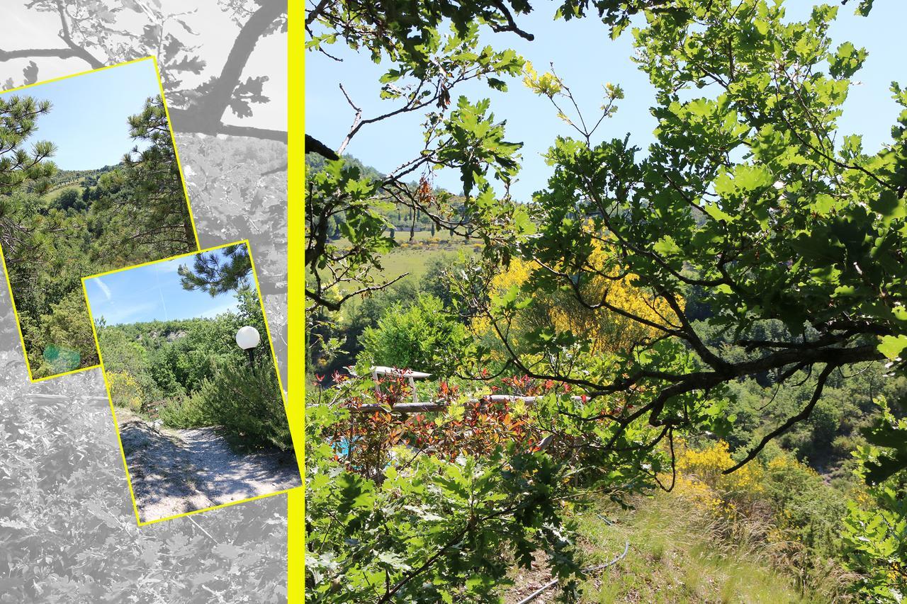 مبيت وإفطار San Giustino Le Querce Di Campolungo المظهر الخارجي الصورة